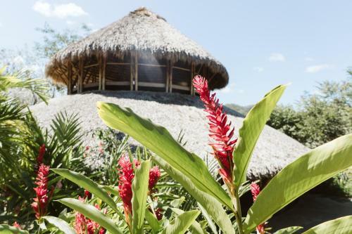 Hotel Dreamsea Surf Resort Nicaragua