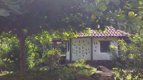 Albergue Finca Mystica