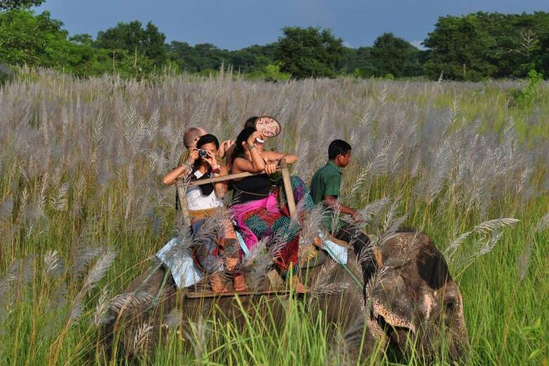Hotel Tigerland Safari Resort