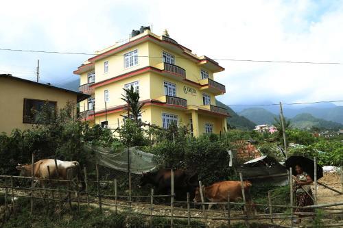 Hotel Green Eco Resort