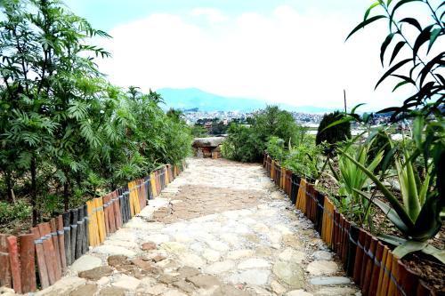 Hotel Green Eco Resort
