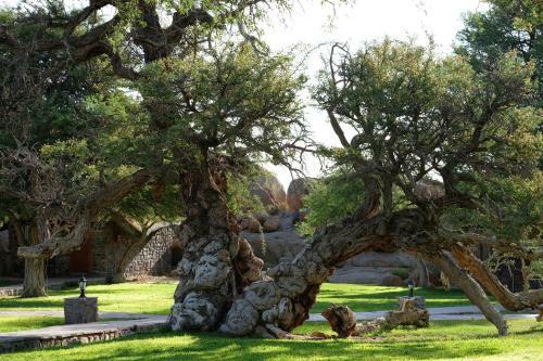 Gondwana Canyon Lodge