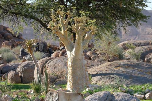 Gondwana Canyon Lodge