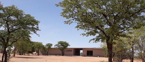 Blue Bushman Luxury Tented Lodge & Camping