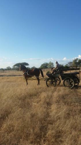 Lodge Farm Robyn Kamanjab