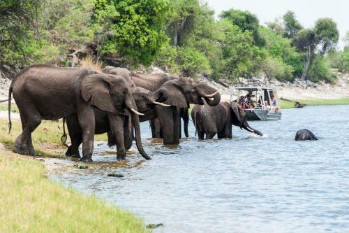 Ichingo Chobe River Lodge