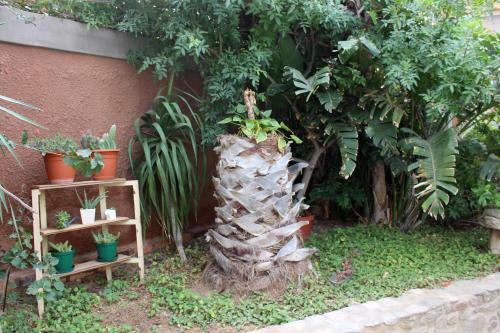 Hostal Tranquility Guest House