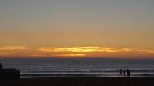 Sandy Shores