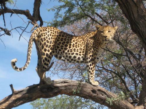 Agroturismo D�sternbrook Guest Farm