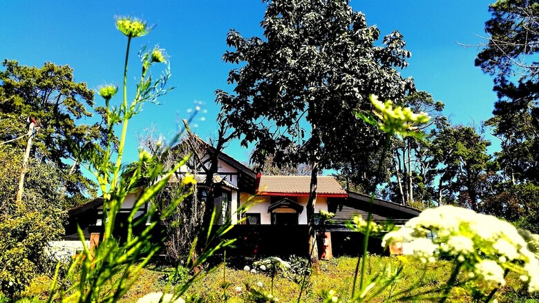 Posada Morning Glory Inn
