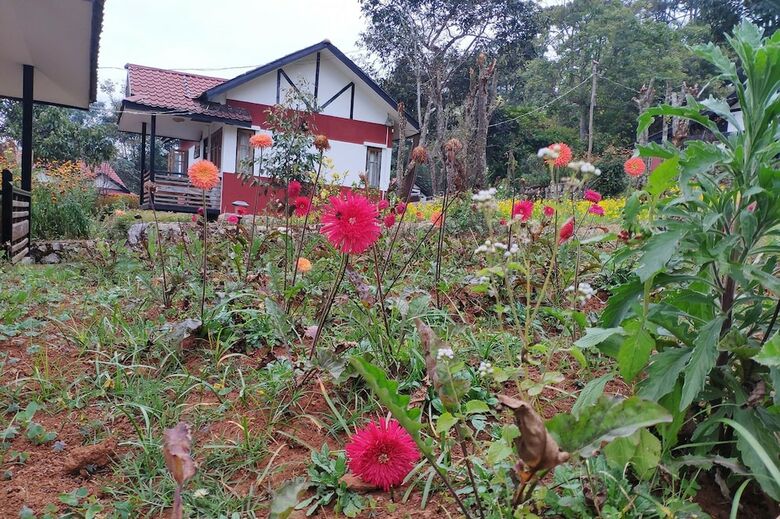 Posada Morning Glory Inn