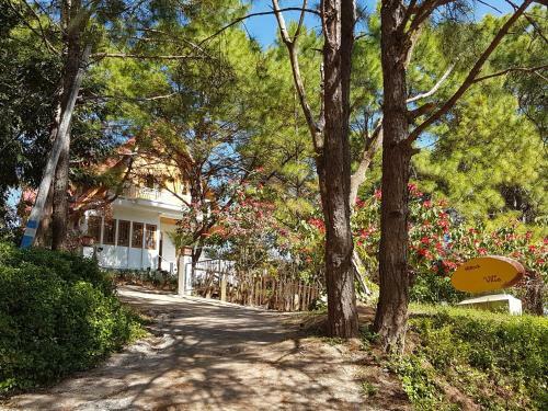 Bed & Breakfast Hillock Villa