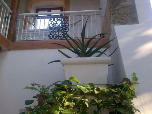 Jardim Dos Alo�s Boutique B&B