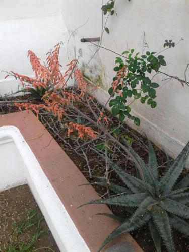 Jardim Dos Alo�s Boutique B&B