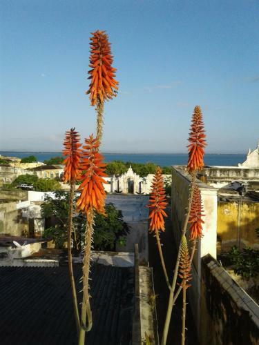 Jardim Dos Alo�s Boutique B&B