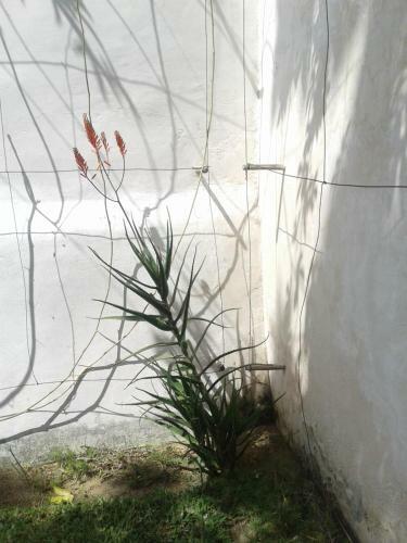 Jardim Dos Alo�s Boutique B&B