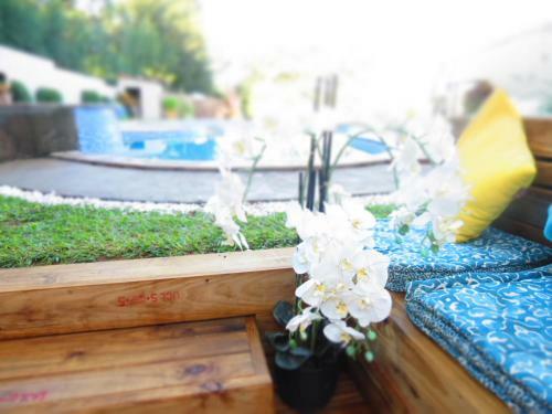 Bed & Breakfast Nkanhe Lodge