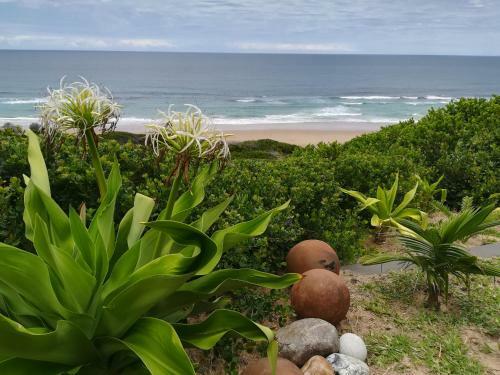 Apartamento Paz Do Pai
