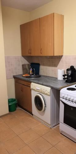 Apartamento Moscow Avenue 11