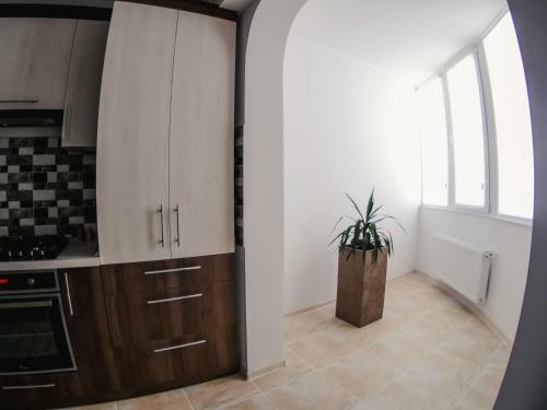 Apartamento 1 Bedroom Flat Near Shopping Malldova!