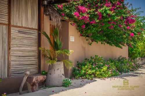 Hostal Horsburgh Island Guesthouse