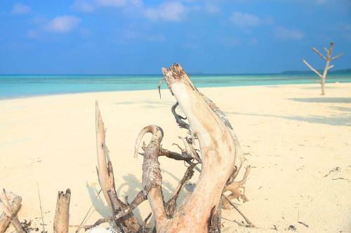 Hostal Horsburgh Island Guesthouse