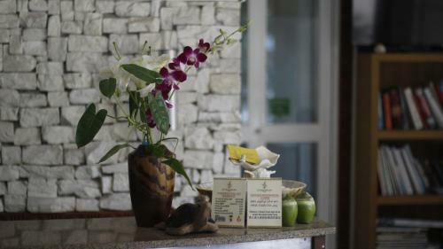 Hostal Le Vieux Nice Inn