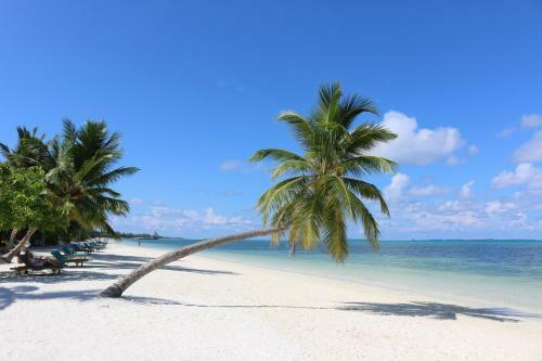 Hotel Canareef Resort Maldives