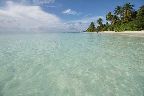 Hotel Canareef Resort Maldives