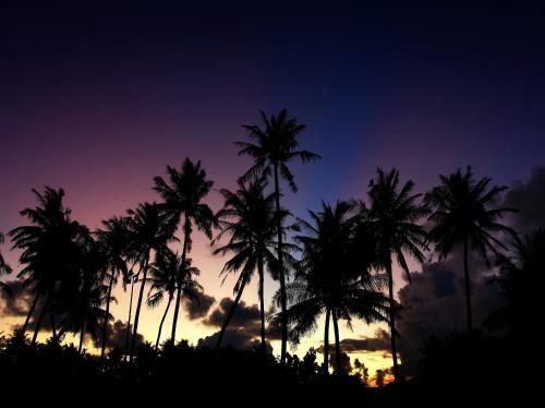 Hostal Rip Tide Vacation Inn, K.guraidhoo