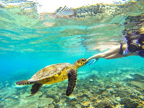 Hostal Equa Reef Maldives