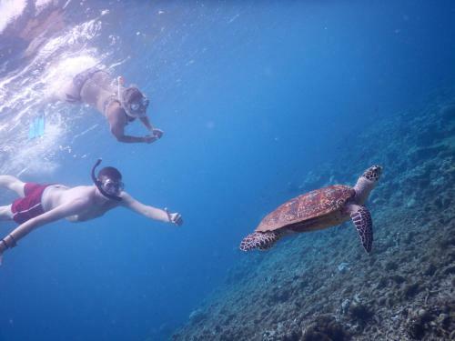 Hostal Equa Reef Maldives