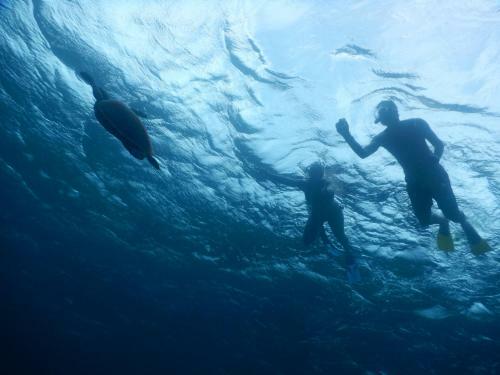 Hostal Equa Reef Maldives