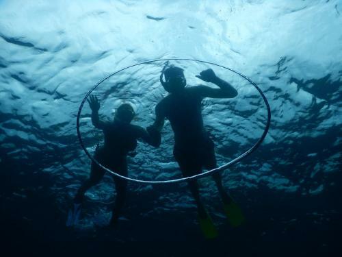 Hostal Equa Reef Maldives