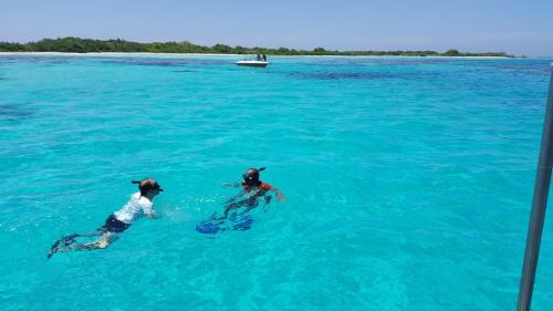 Hostal Equa Reef Maldives