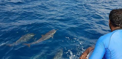 Hostal Equa Reef Maldives