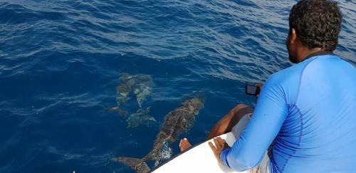 Hostal Equa Reef Maldives