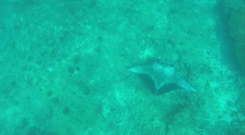 Hostal Kuri Beach View Inn