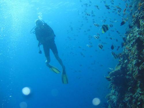 Hostal Kuri Beach View Inn