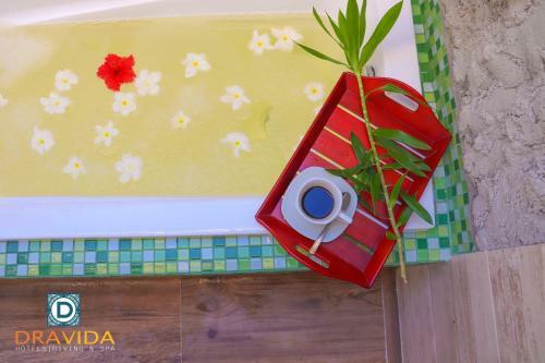 Dravida Hotel