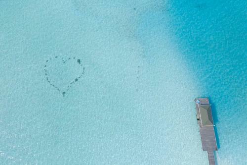 Hotel Holiday Island Resort
