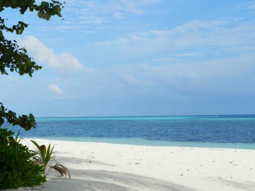 Hostal Whale Shark Inn