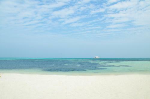 Hostal Whale Shark Inn
