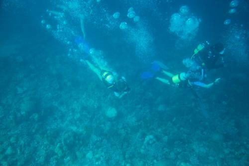 Hostal La Cabana Maldives