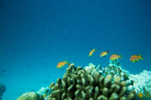 Hostal La Cabana Maldives