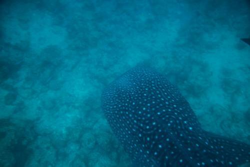 Hostal La Cabana Maldives