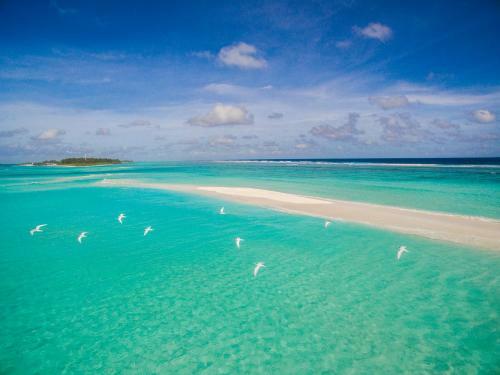 Hostal La Cabana Maldives