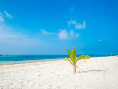 Hostal La Cabana Maldives