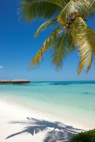 Hotel Lux* South Ari Atoll