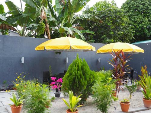 Hostal Equator Homestay